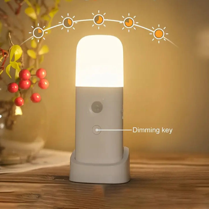 LED Bewegingssensor Nachtlamp