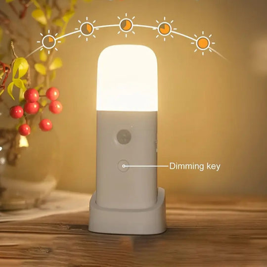 LED Bewegingssensor Nachtlamp