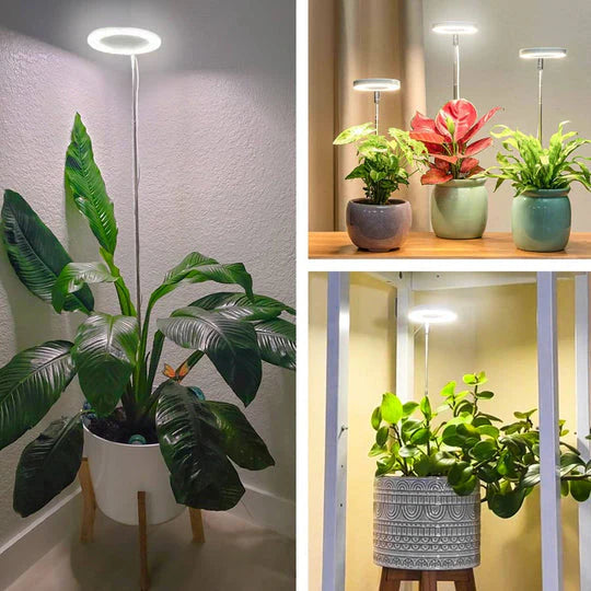 LED Plantenlamp