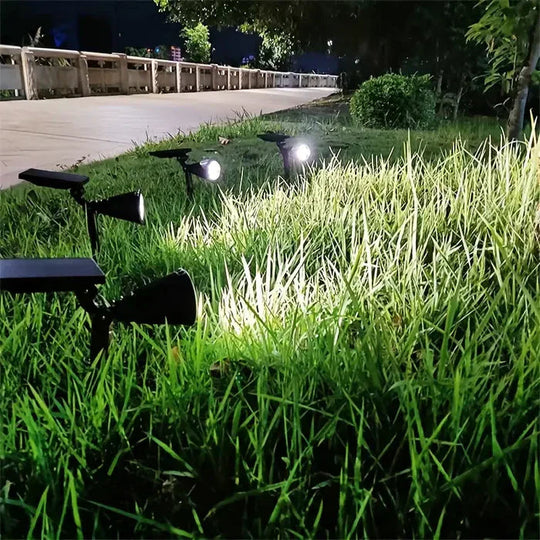 Waterdichte LED Solar Schijnwerper voor Buiten