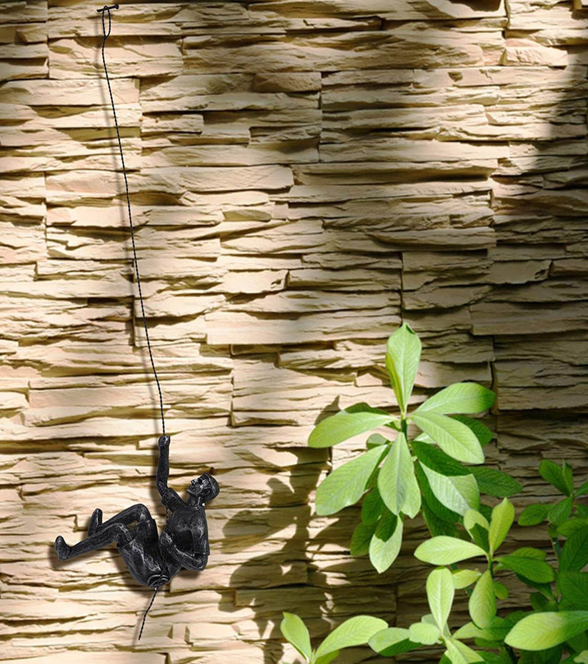 Rock Climbing Klim Sculptuur