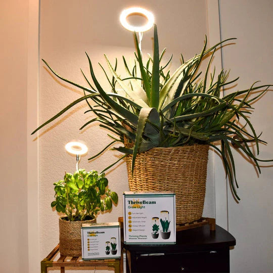 LED Plantenlamp